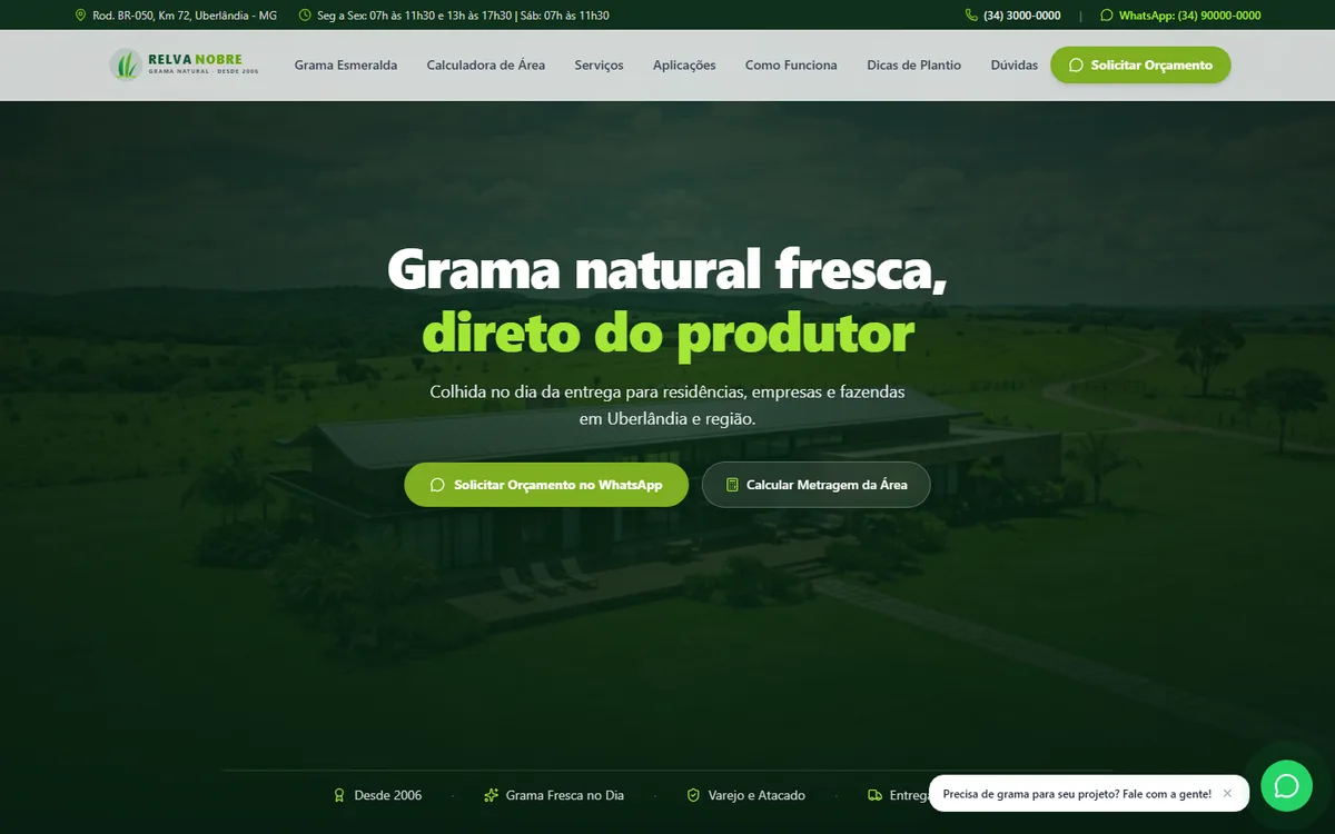 Relva Nobre Grama Natural, versão para computador